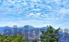 麻豆传媒在哪里可以看-一个虚构故事的旅程，探秘影视天堂之旅