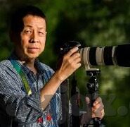 糖心vlog免费版app-解锁新视界，糖心vlog免费版APP的全方位体验