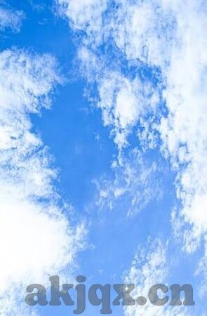 最近的2019中文字幕国语电影-2019中文字幕国语电影，光影里的时代脉动与文化共鸣